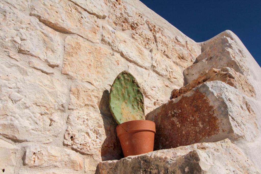 white moon holiday home room 3